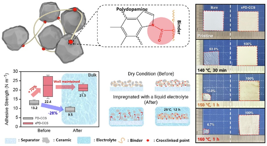 Highly improved thermal stability of the ceramic coating layer on the polyethylene separator via chemical crosslinking between ceramic particles and polymeric binders 이미지