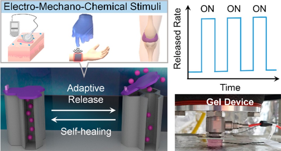 Electro-Mechanochemical Gating of a Metal–Phenolic Nanocage for Controlled Guest-Release Self-Powered Patches and Injectable Gels 이미지