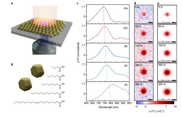 Ultrafast exciton transport at early times in quantum dot solids