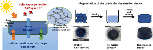 Environmentally safe and renewable solar vapor generation device based on Prussian blue nanoparticles immobilized on cellulose nanofibers